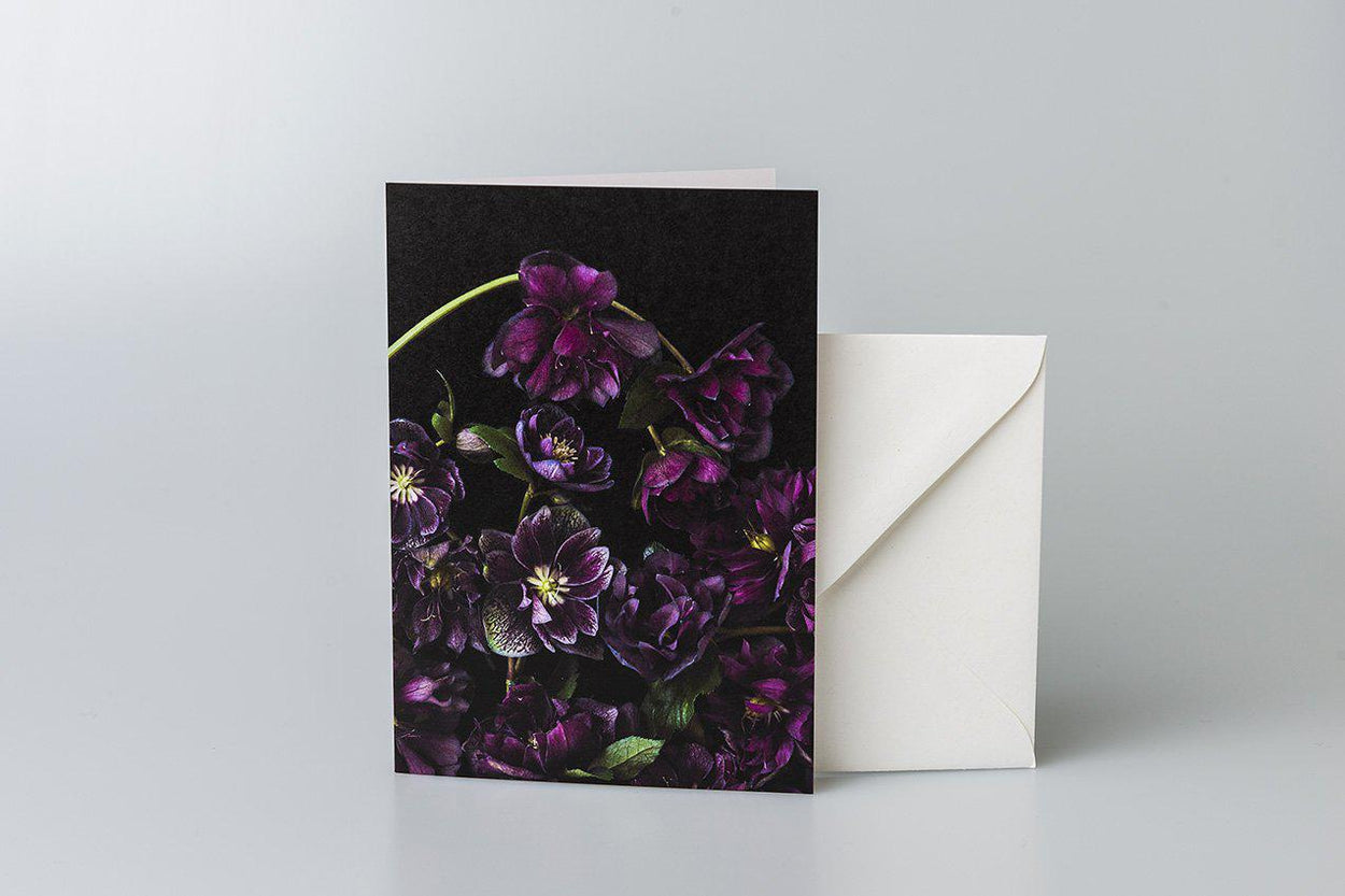 Black Hellebores Greeting Card