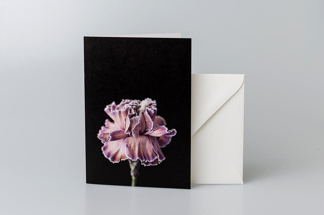 Double Carnation Greeting Card