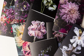 HB Collection of Floral Greeting Cards Set - mix of all 10 designs